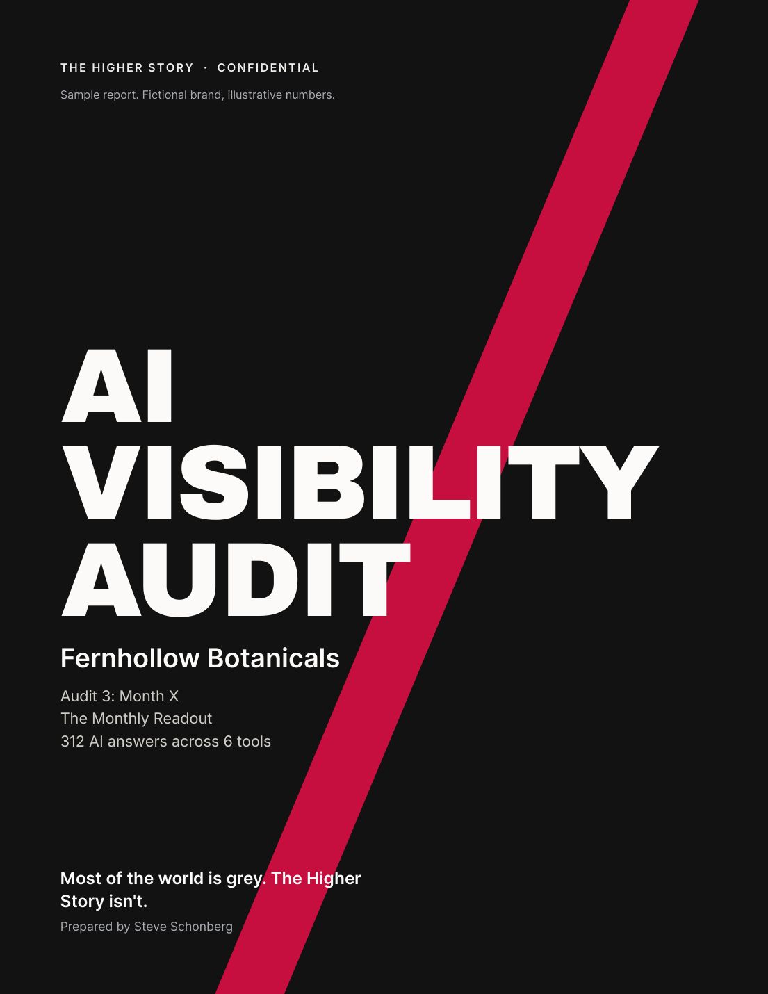 Cover of a sample Higher Story AI Visibility Audit report