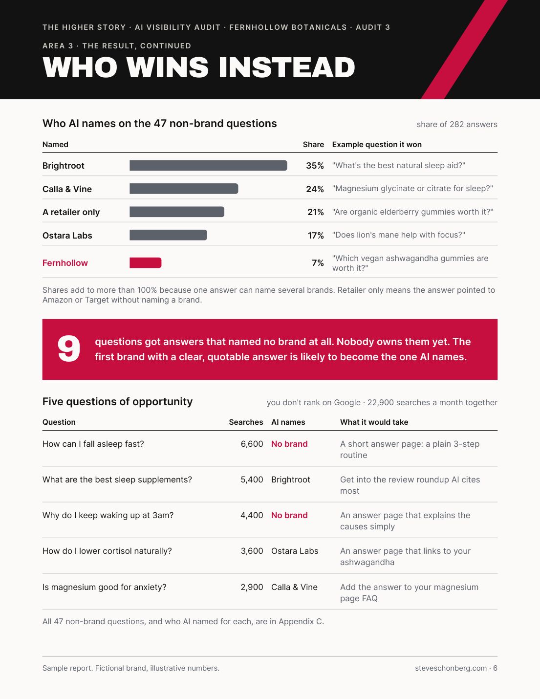 Sample AI Visibility Audit report page 6