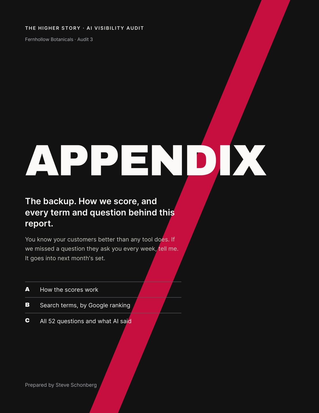 Sample AI Visibility Audit report page 14