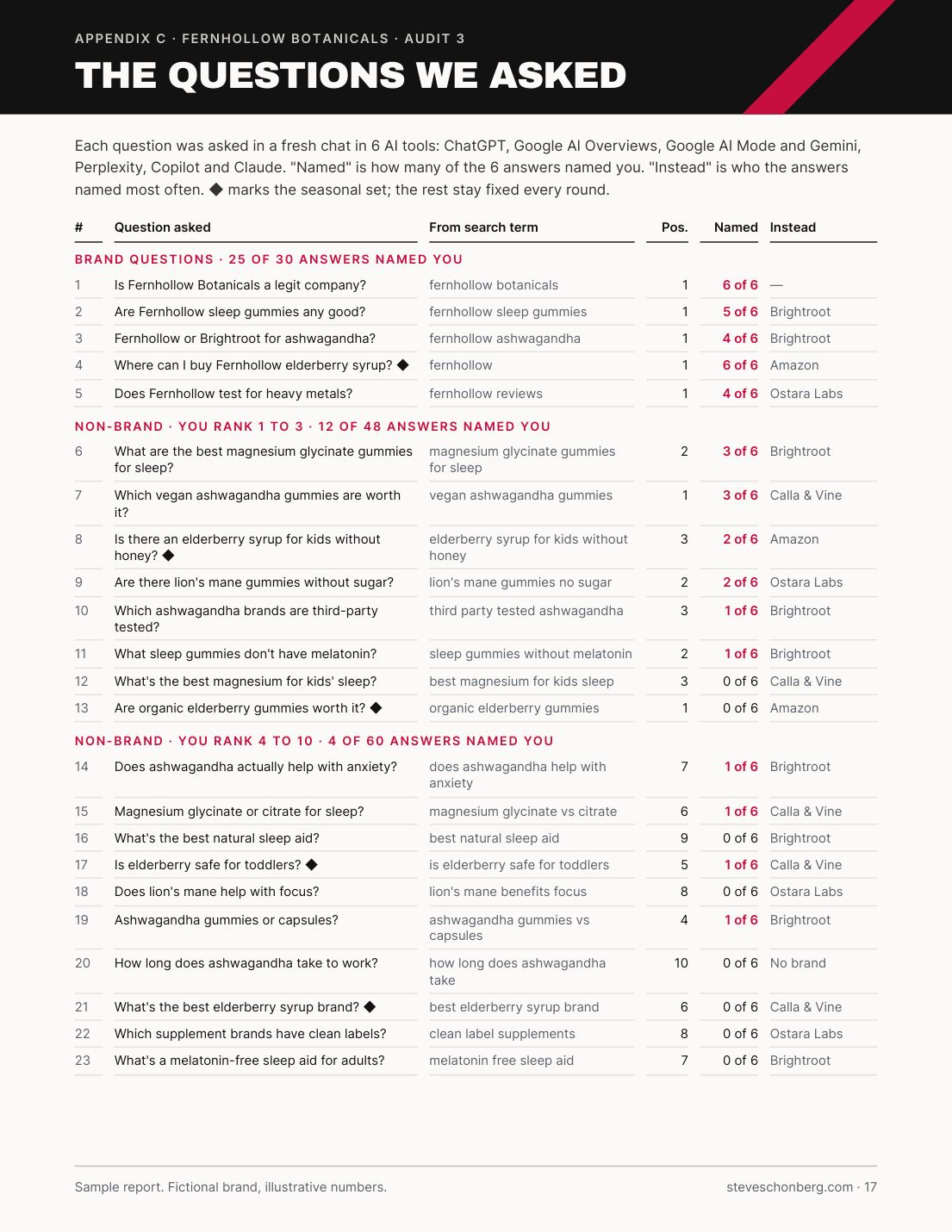 Sample AI Visibility Audit report page 17